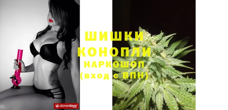 Бошки Шишки OG Kush  OMG ссылка  Белореченск  цена наркотик 